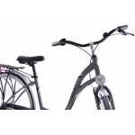 Mestský bicykel 28 Fuzlu Nevada S-3 Strieborná